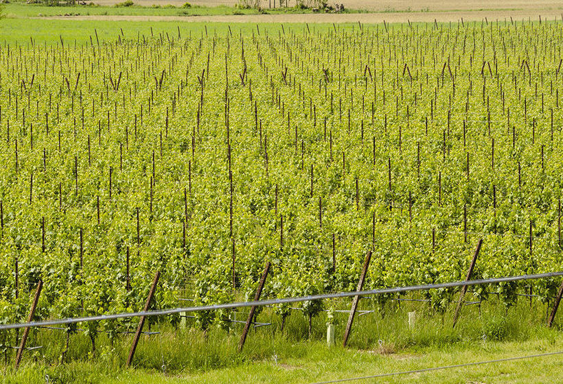 פנסיון Corte San Giacomo