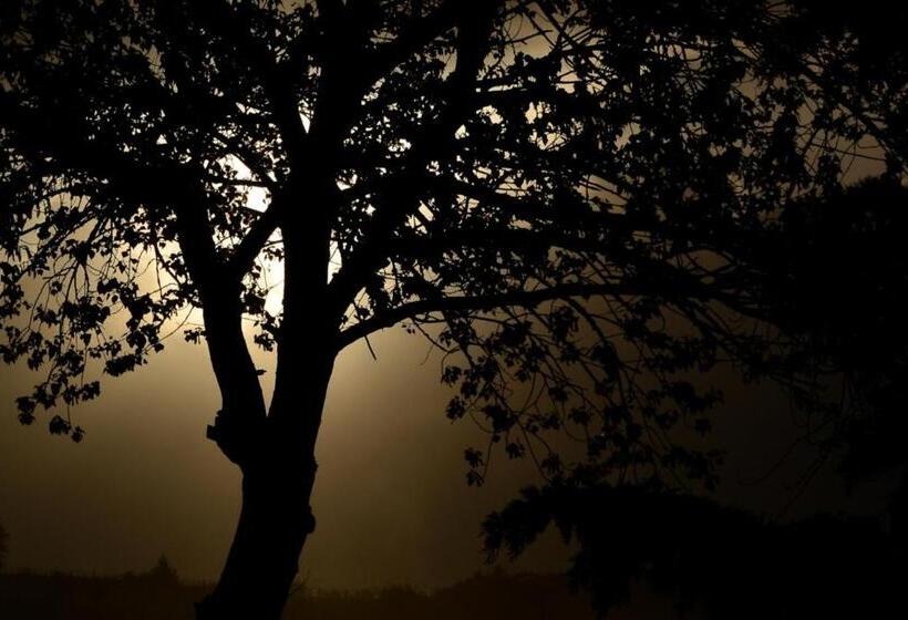 Terme E Spa Assolatina Agriturismo