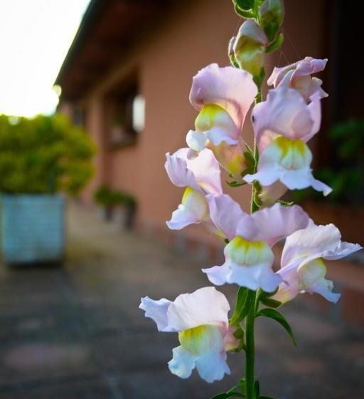 Terme E Spa Assolatina Agriturismo