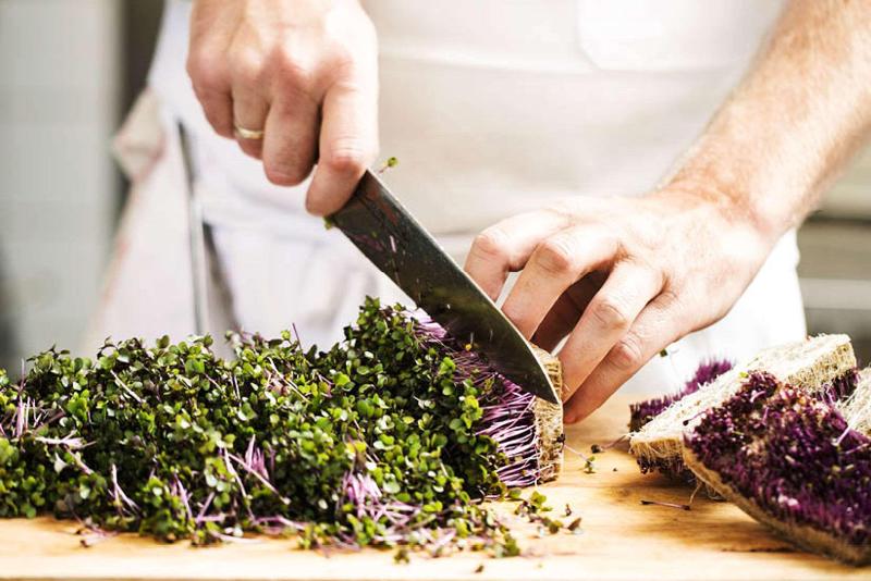 Quality Hotel The Box