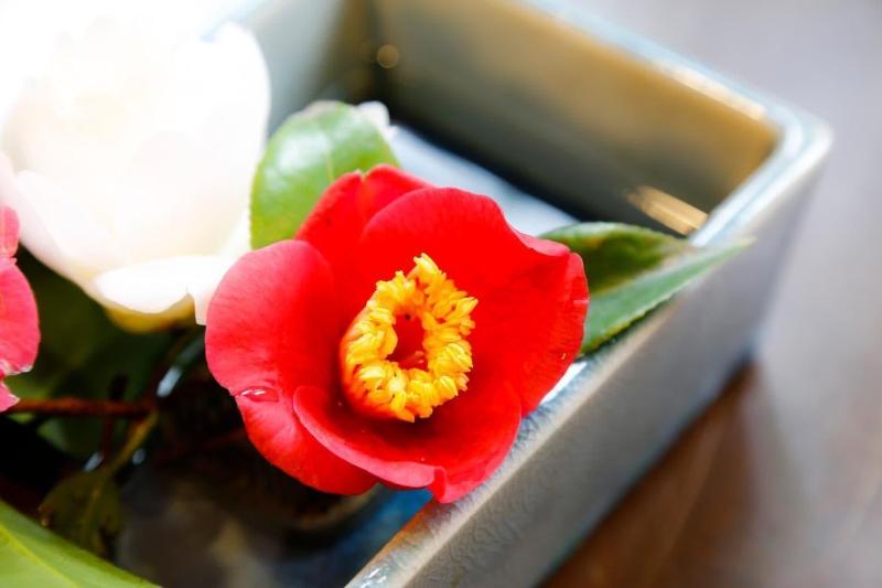 The Gallery Inn Tsubakino Ryokan