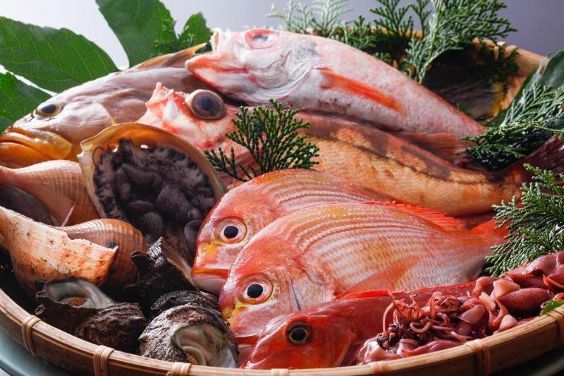 The Gallery Inn Tsubakino Ryokan