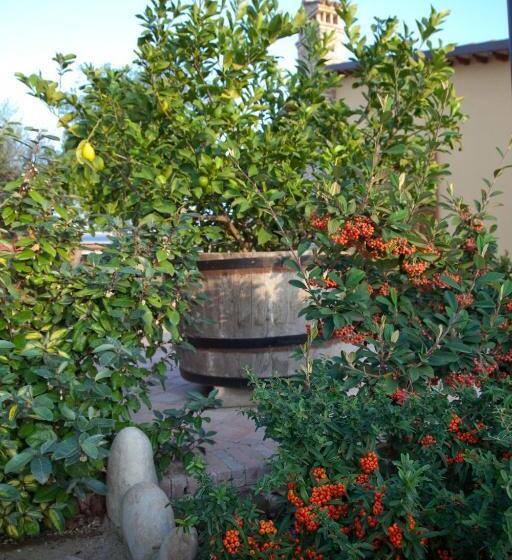 Valle Del Metauro Country House