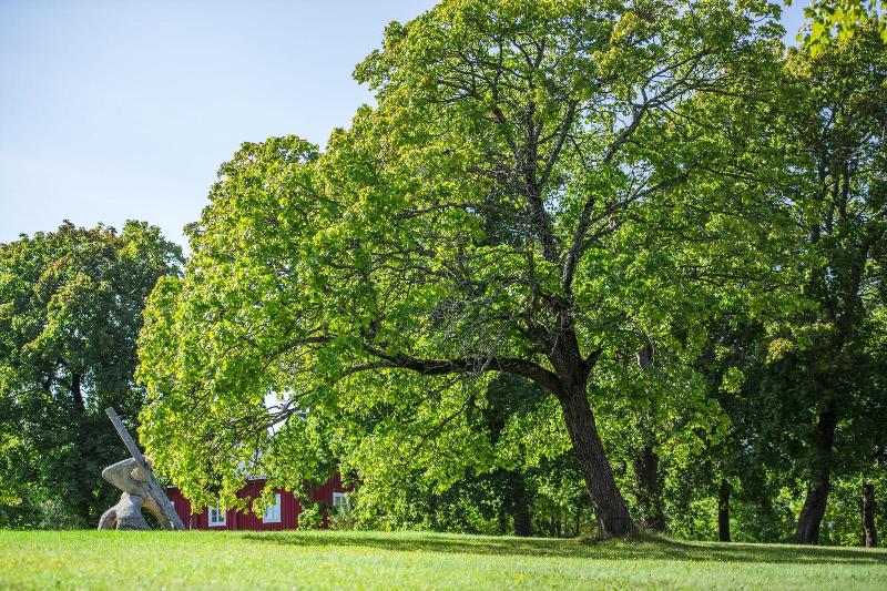 Västerbacken Hotell & Konferens