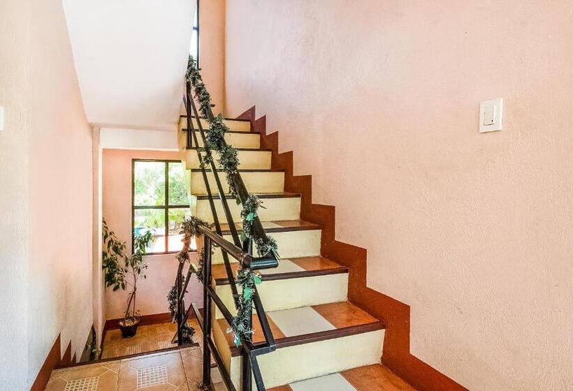 הוסטל Casa Bonita Inn Oslob