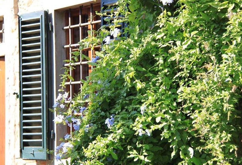 مبيت وإفطار Antica Casa Le Rondini