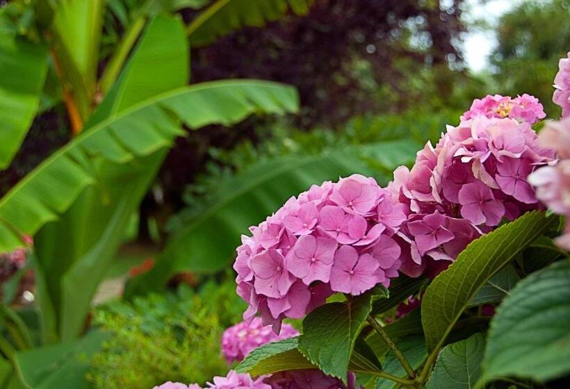 住宿加早餐  Casa Del Pino