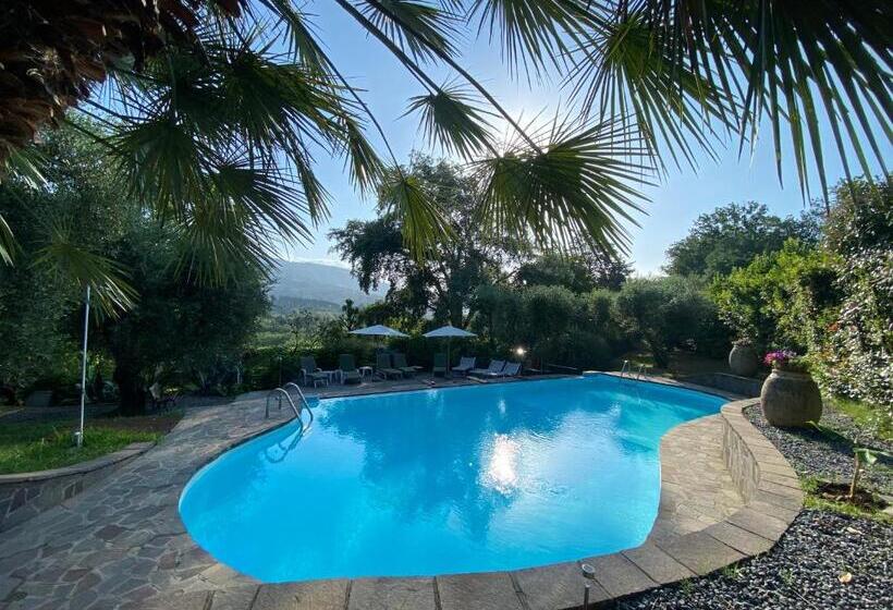 住宿加早餐  Casa Del Pino