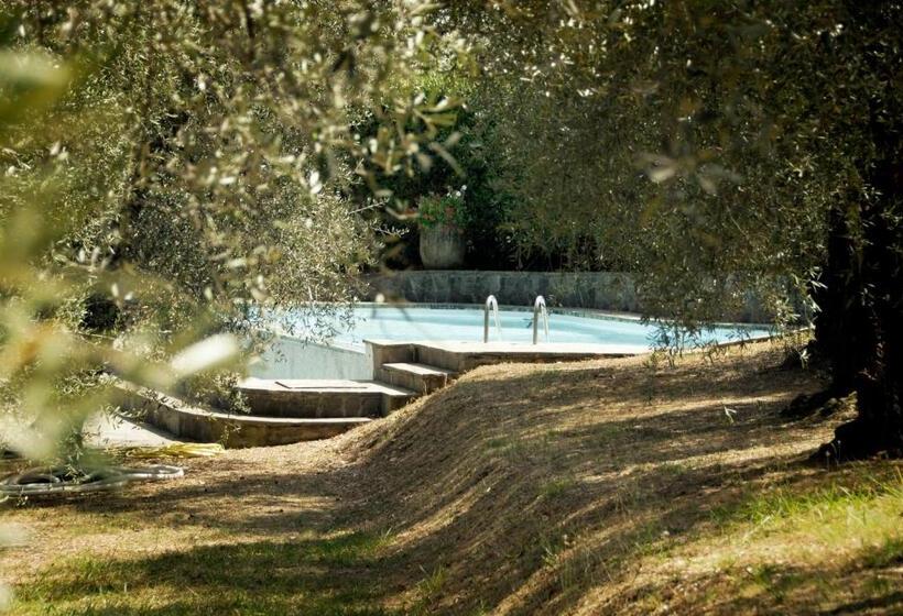 住宿加早餐  Casa Del Pino