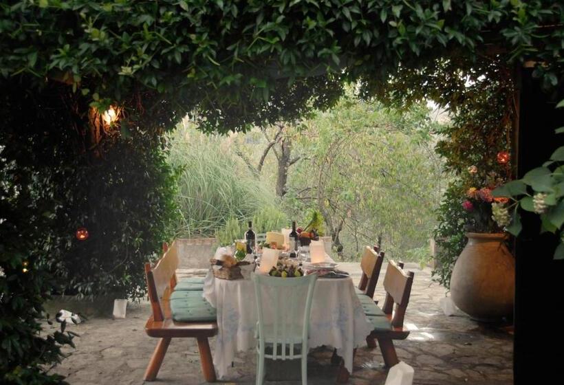 住宿加早餐  Casa Del Pino