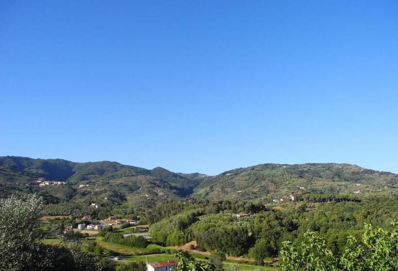 住宿加早餐  Casa Del Pino