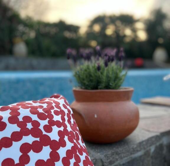 住宿加早餐  Casa Del Pino