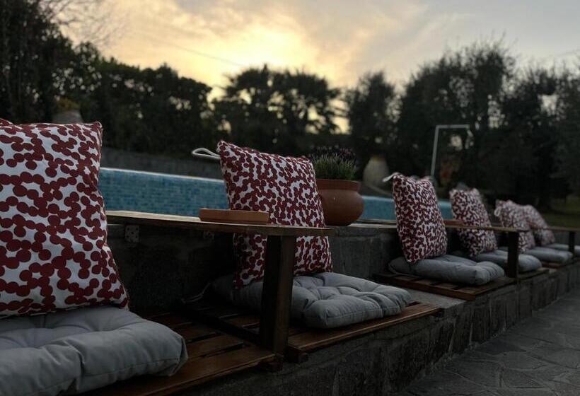 住宿加早餐  Casa Del Pino