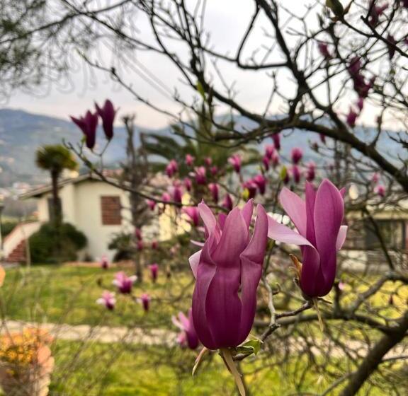 住宿加早餐  Casa Del Pino