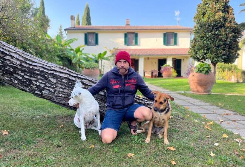 住宿加早餐  Casa Del Pino