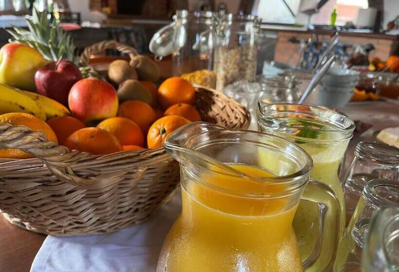 住宿加早餐  Casa Del Pino