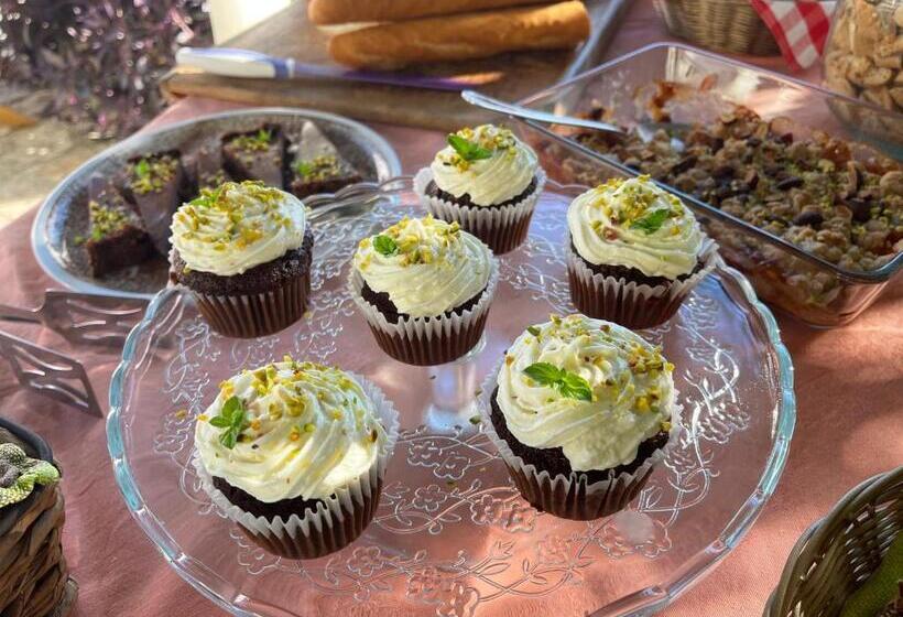 住宿加早餐  Casa Del Pino