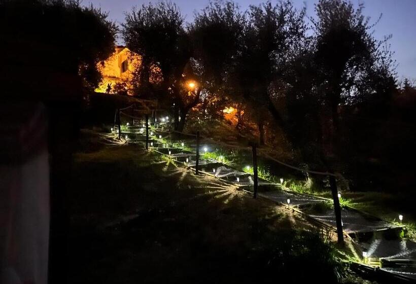 住宿加早餐  Casa Del Pino