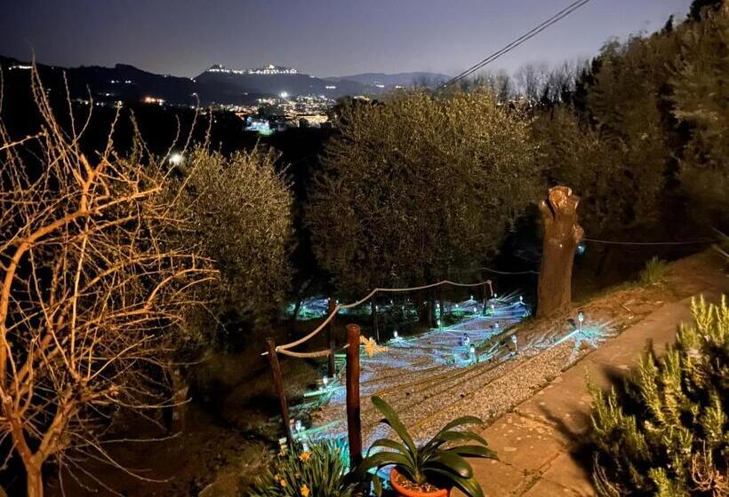 住宿加早餐  Casa Del Pino