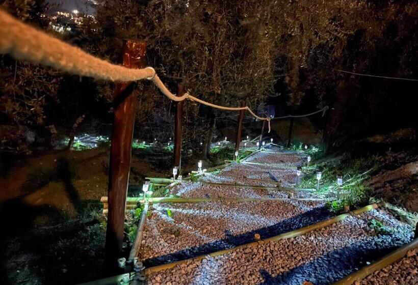 住宿加早餐  Casa Del Pino