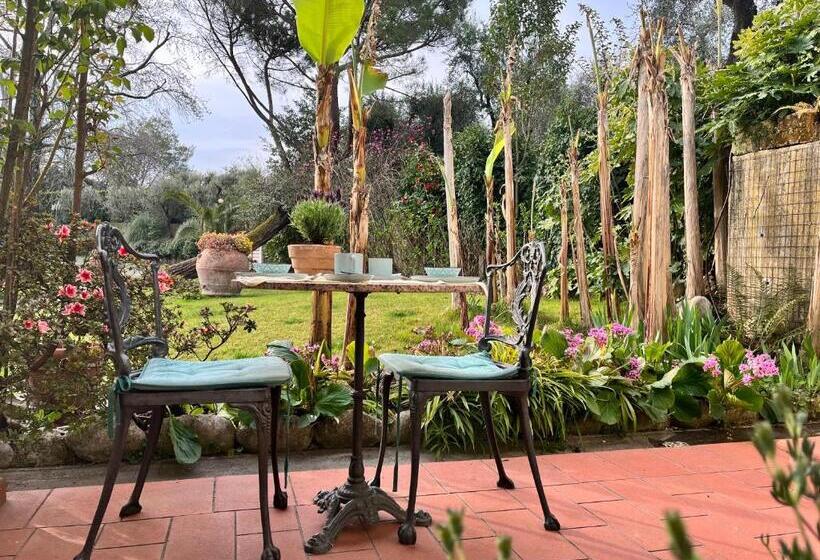 住宿加早餐  Casa Del Pino