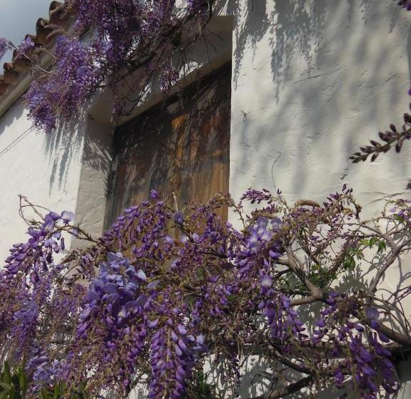 צימר El Diplomatico Feo   The Ugly Diplomat