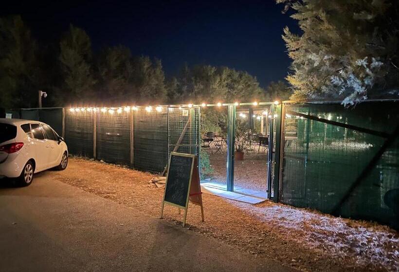 ベッドアンドブレックファースト Villa Mirella Beach