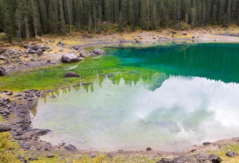 Bio & Bikehotel Steineggerhof