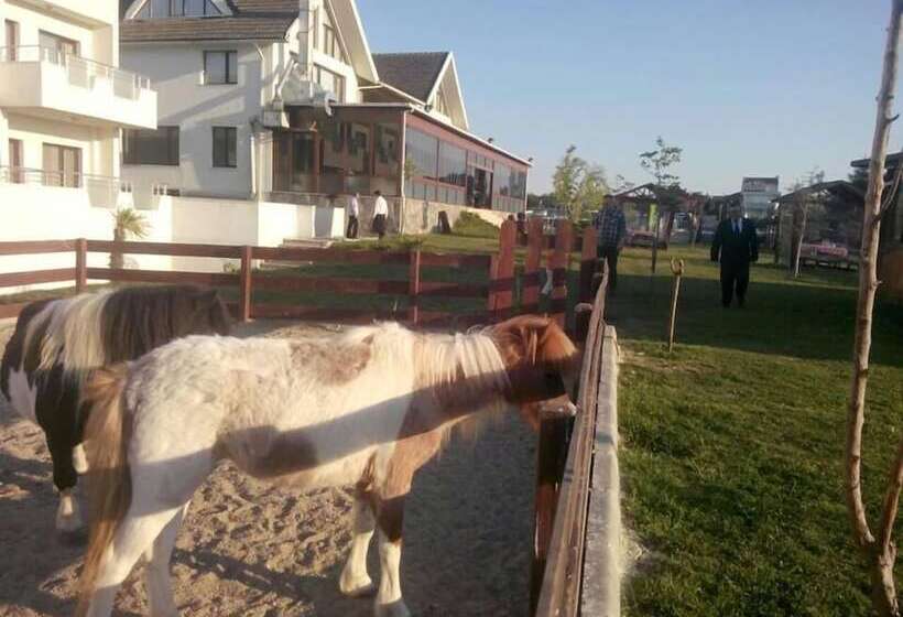 Bon Hotel City & Resort