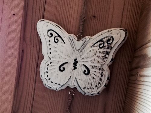 Ecogîte Les Papillons Des Sucs