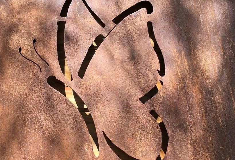 Ecogîte Les Papillons Des Sucs