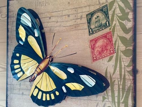 Ecogîte Les Papillons Des Sucs