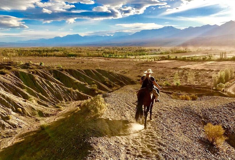 여관 Ecoposada El Mercedario