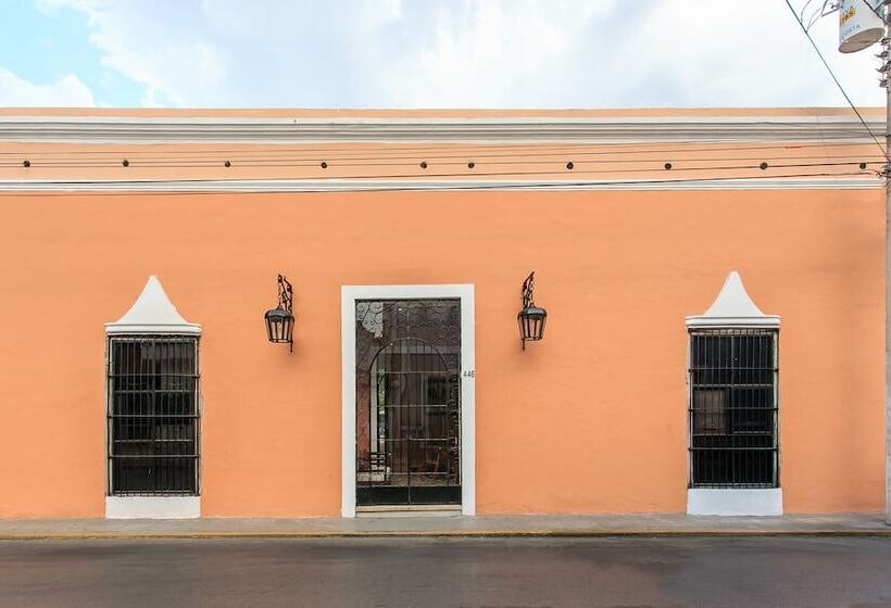 Art 64 Hotel Boutique   Adults Only