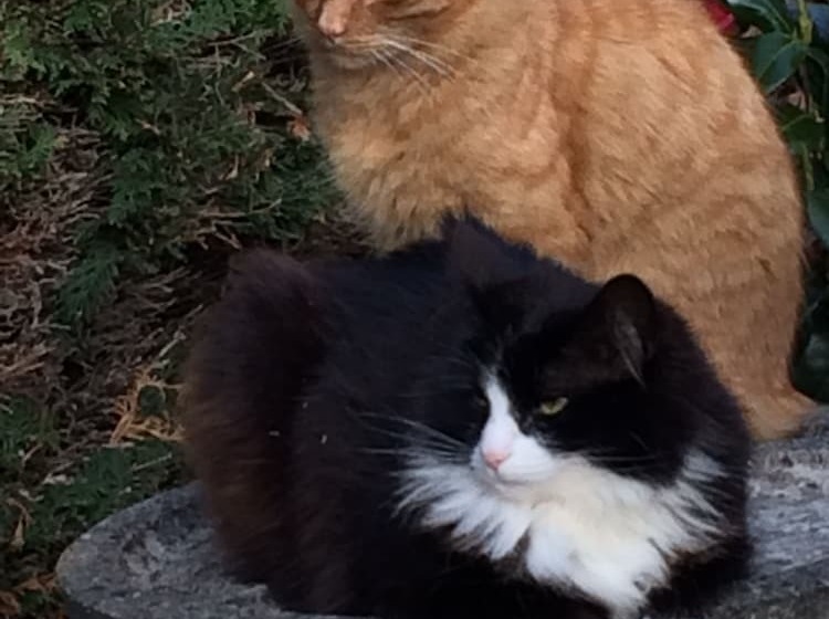 호텔 Ashleigh House B&b