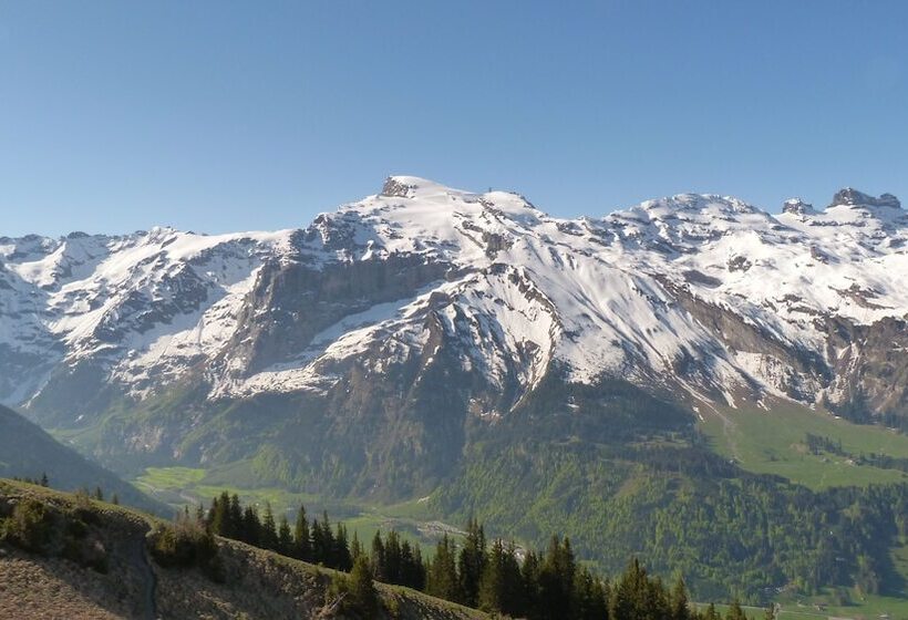 酒店 Berglodge Restaurant Ristis