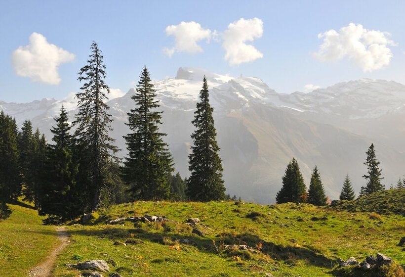 酒店 Berglodge Restaurant Ristis