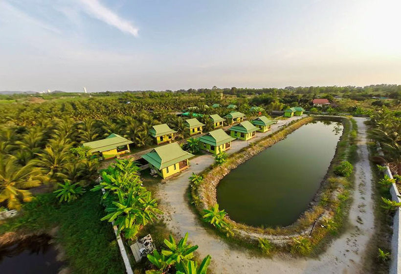 호텔 Coconut Resort