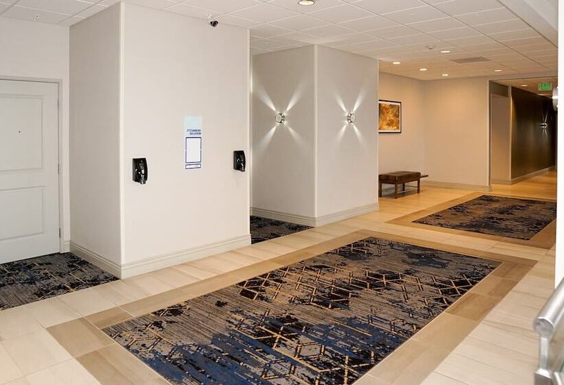 酒店 Holiday Inn Express & Suites   Aurora Medical Campus, An Ihg