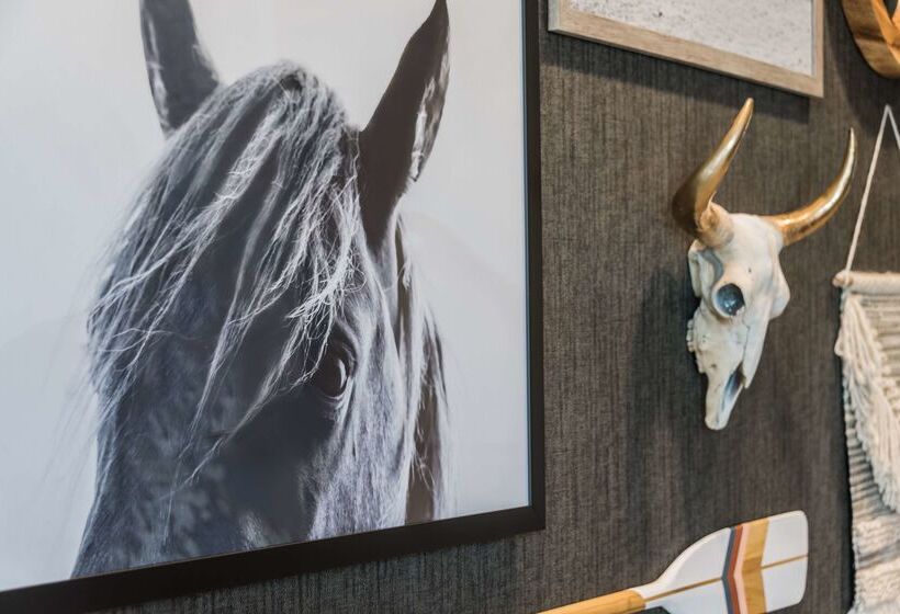 فندق Hyatt Place Westminster Denver