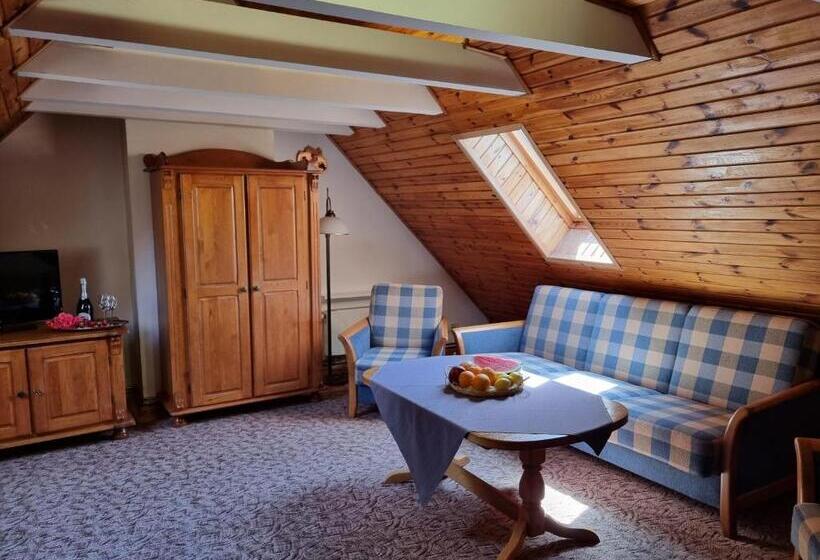 Отель Karkonosze