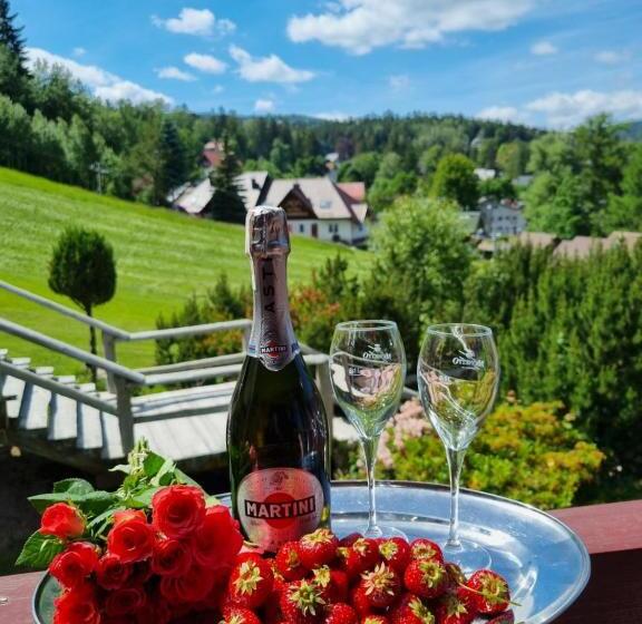 Отель Karkonosze