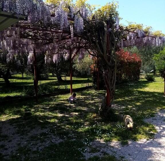 Отель La Casa Gialla