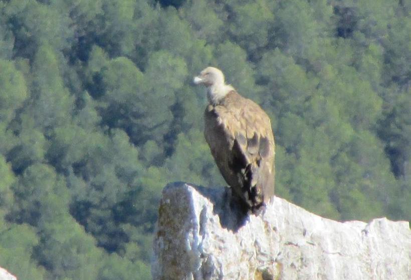 בית מלון כפרי La Posada De Villalangua