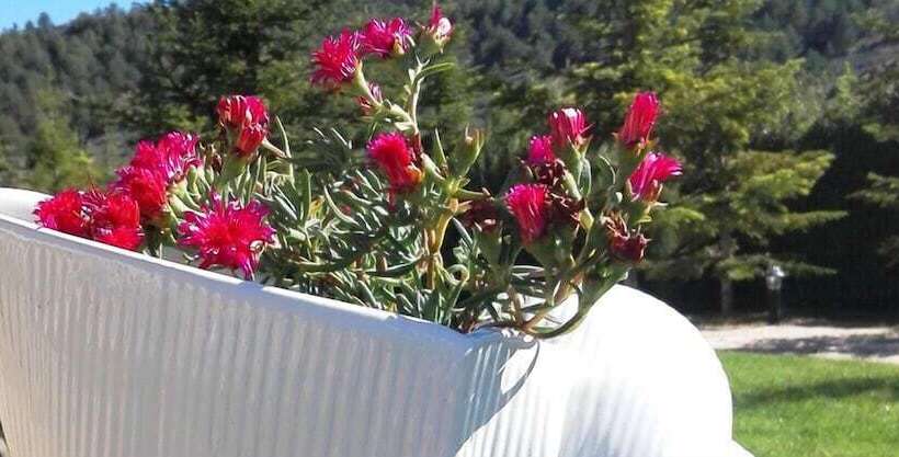 בית מלון כפרי Rural Y Spa La Senda De Los Caracoles