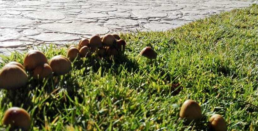 בית מלון כפרי Rural Y Spa La Senda De Los Caracoles