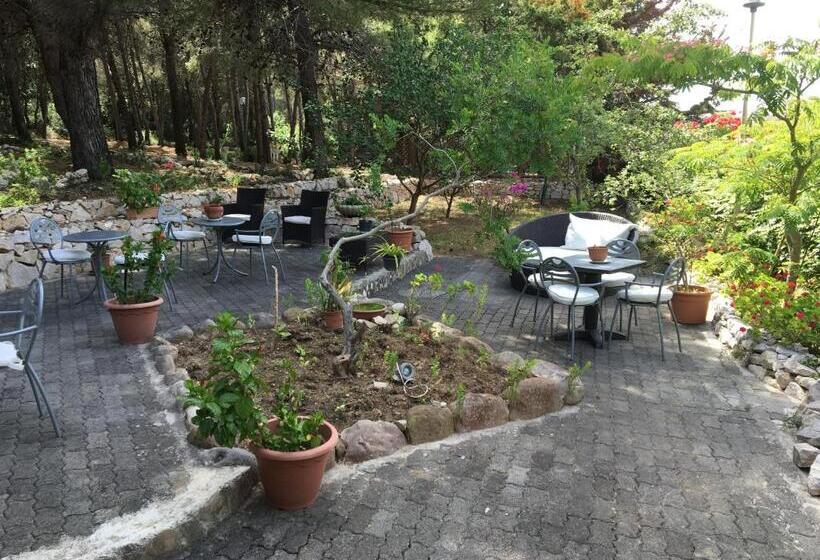 בית מלון כפרי Le Viole