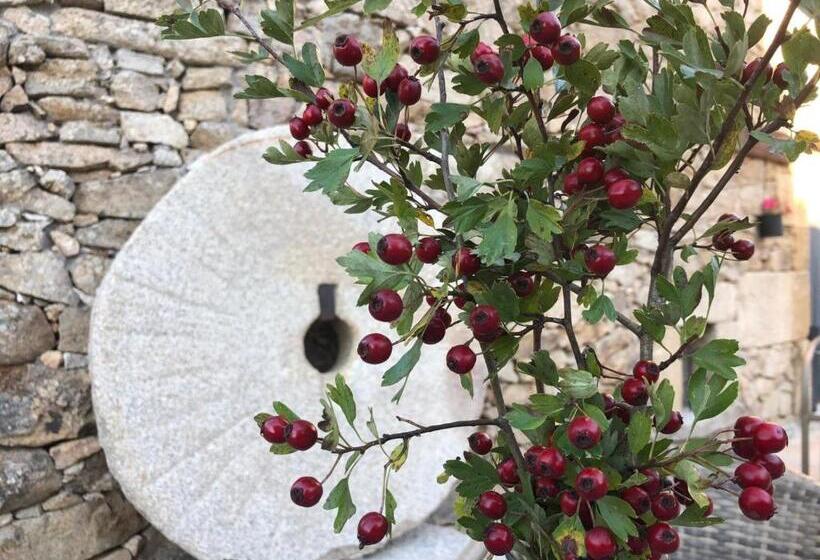 בית מלון כפרי Molino María Justina