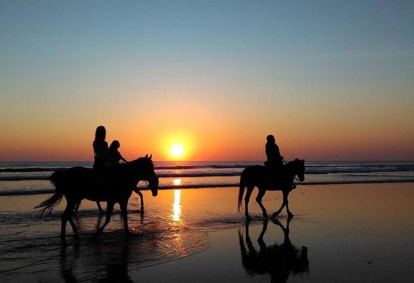 Maestrale Resort Hotel   Alberese, Grosseto