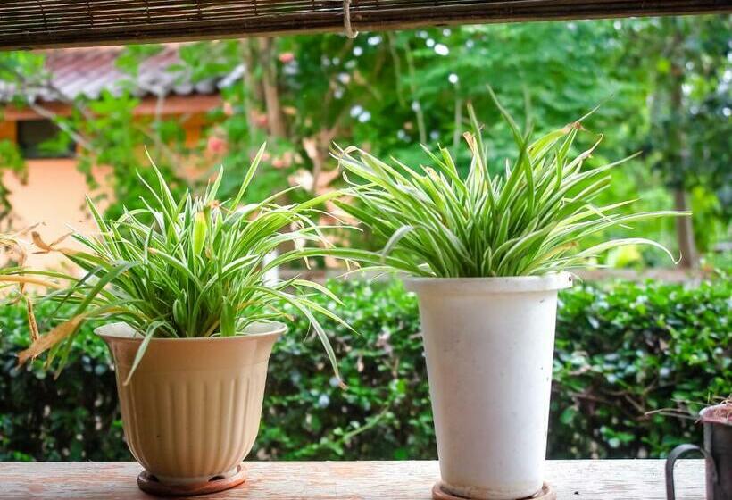 בית מלון כפרי Pai Homey